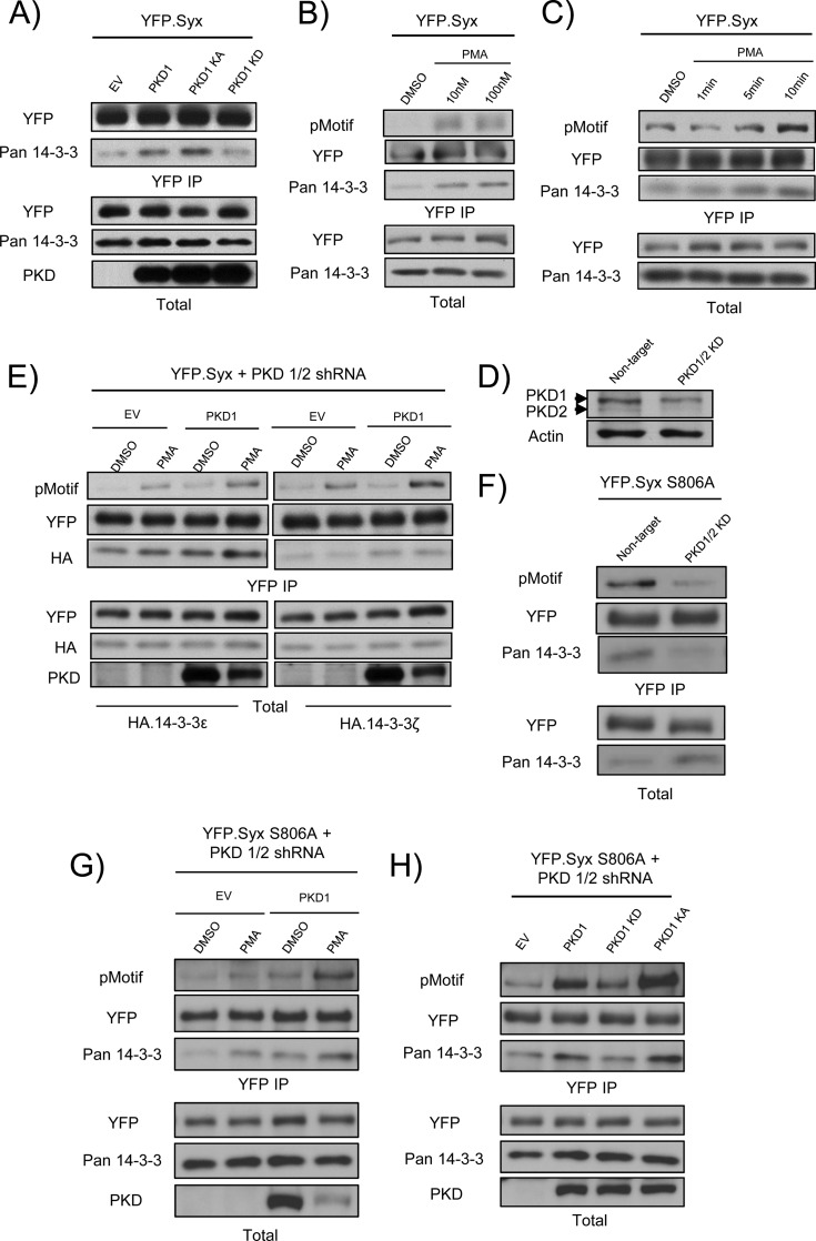 FIGURE 4.