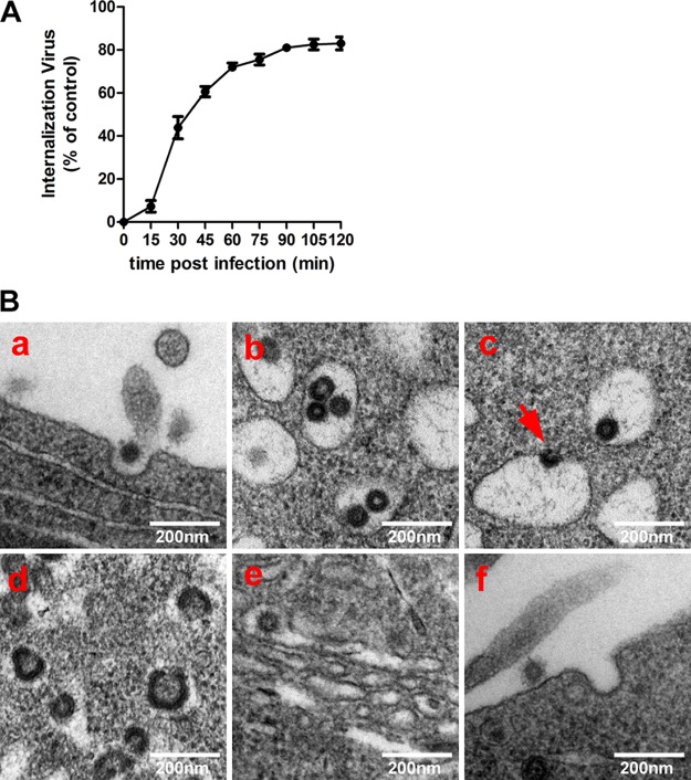 FIG 1