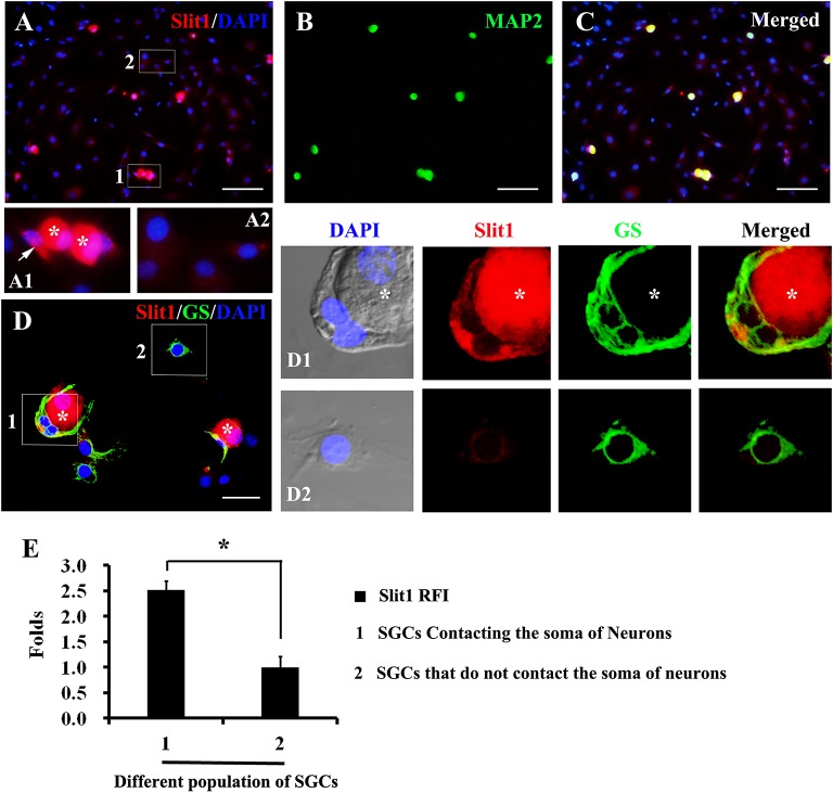 FIGURE 4