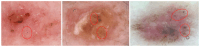 Figure 16