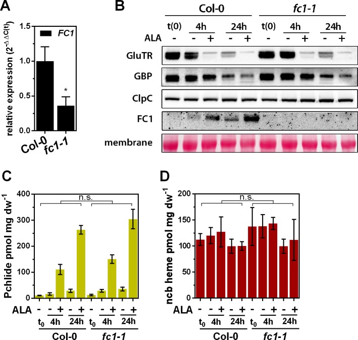 Figure 5—figure supplement 1.