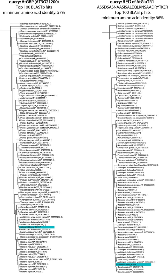 Figure 8—figure supplement 2.