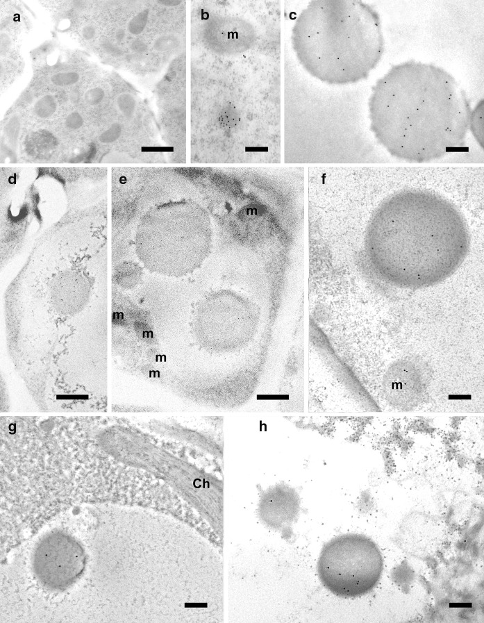 Fig. 7