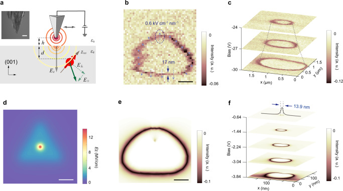 Fig. 2