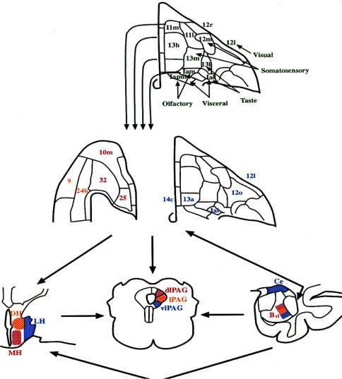 Fig. 2