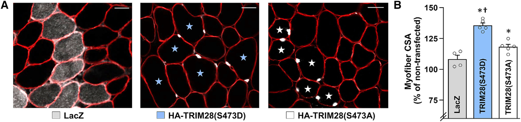 Figure 4.