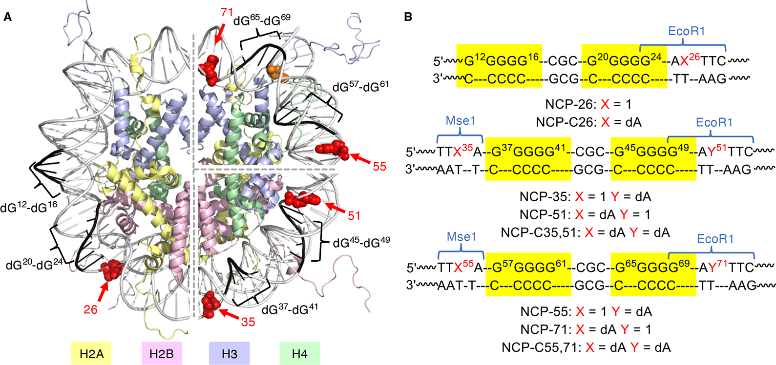 Figure 3.