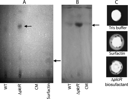 FIG. 4.