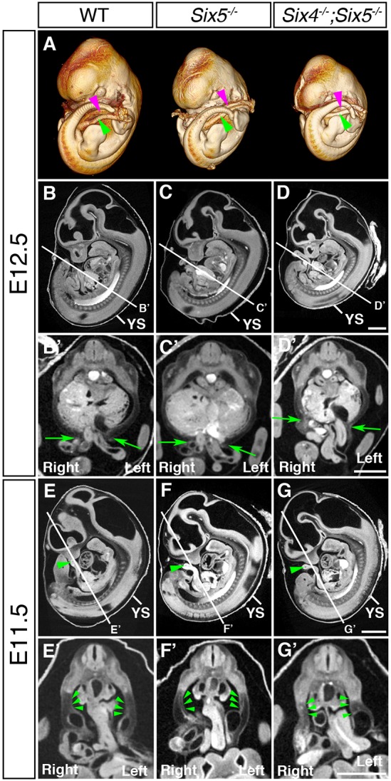 Fig. 3.