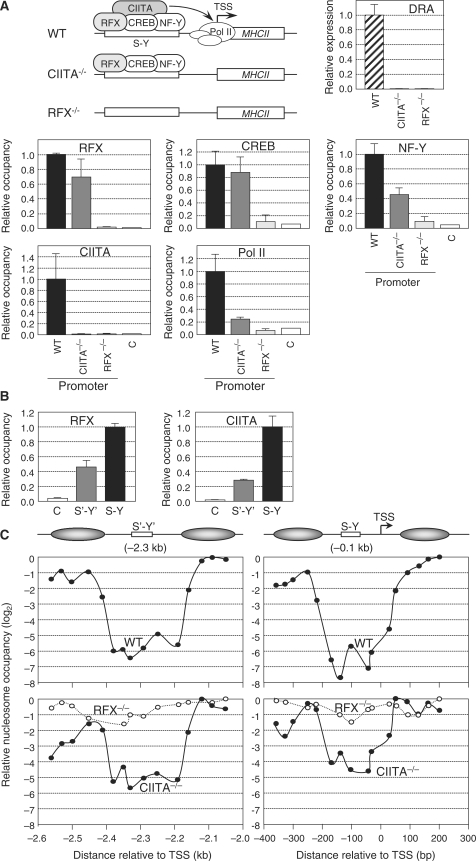 Figure 2.