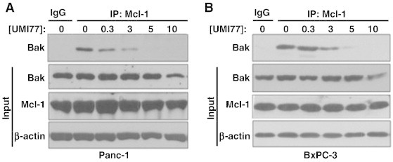 Figure 4