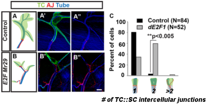 Figure 3: