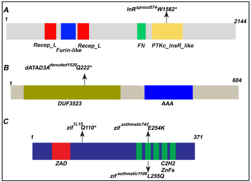 Figure 5: