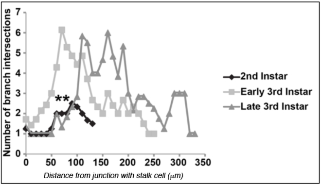 Figure 2: