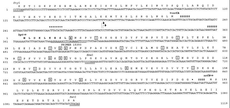 FIG. 1