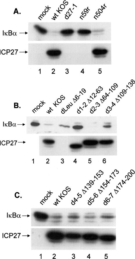 FIG. 7.