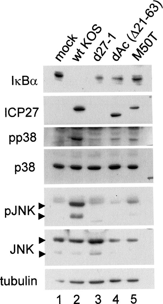 FIG. 8.