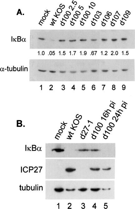 FIG. 5.