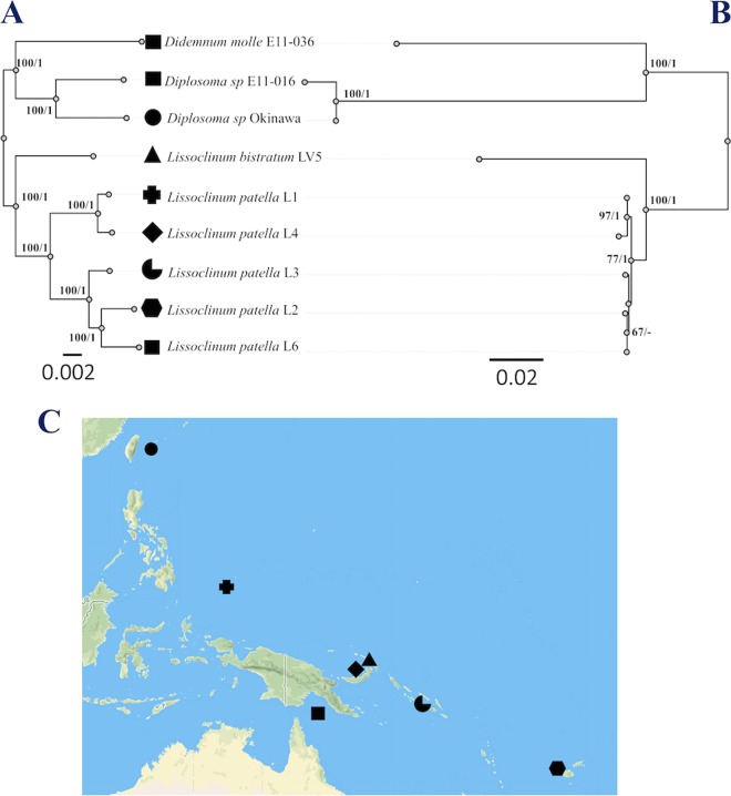 FIG 1