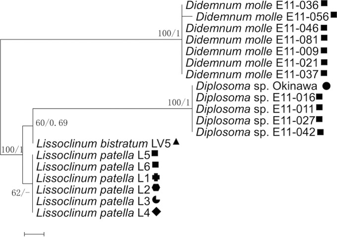 FIG 3