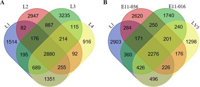 FIG 2