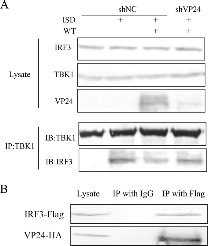 FIG 5