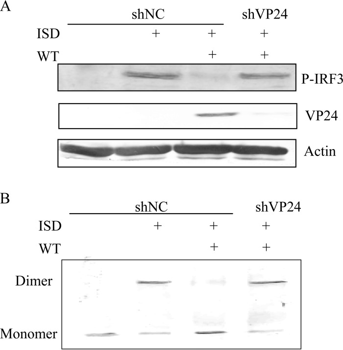 FIG 4