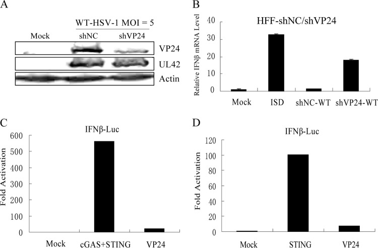 FIG 1