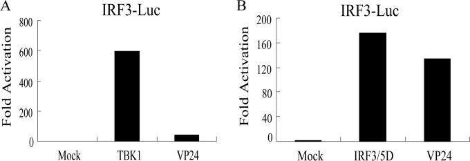 FIG 3