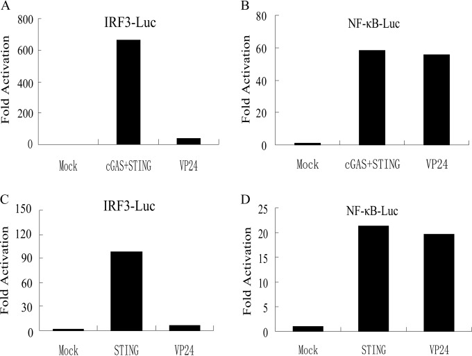 FIG 2