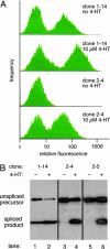 Fig. 2.