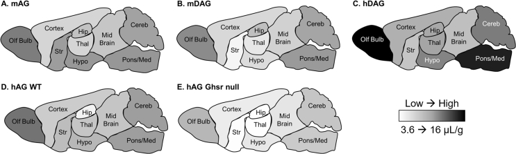 Figure 4