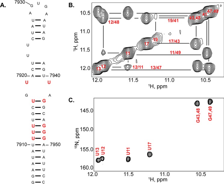 FIGURE 4.