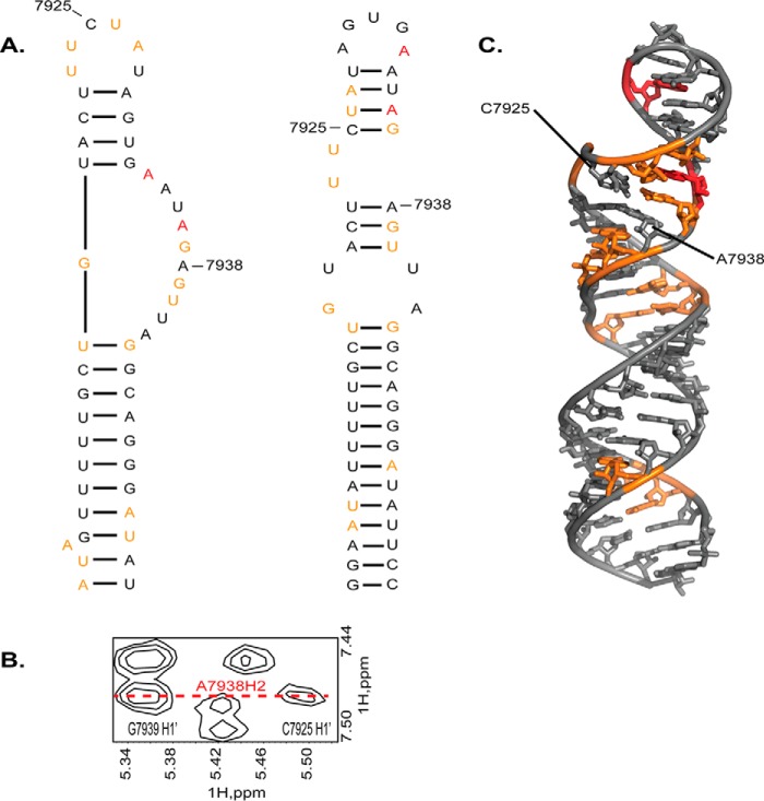 FIGURE 10.