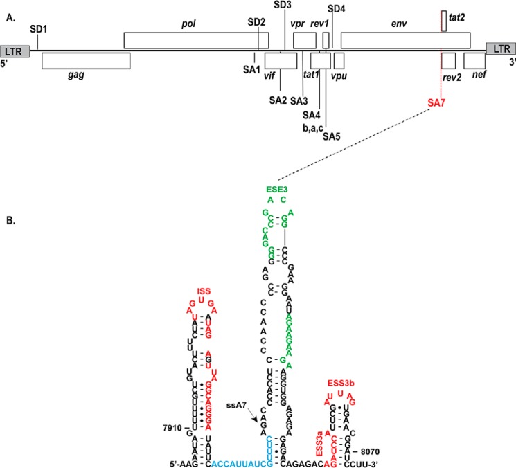 FIGURE 1.