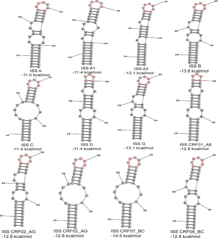 FIGURE 3.