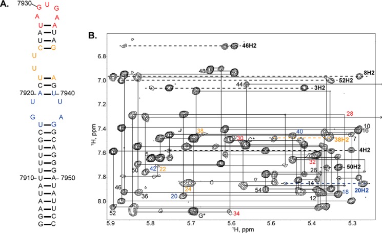 FIGURE 5.