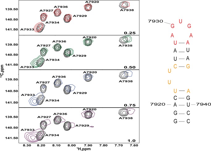 FIGURE 9.