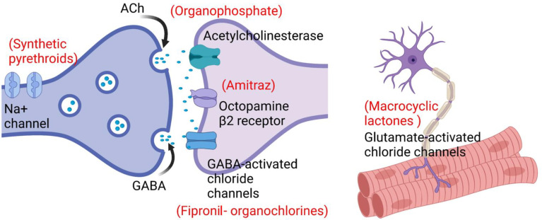 Figure 3