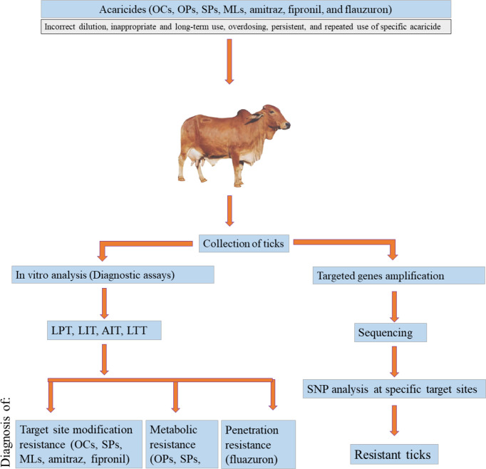 Figure 1