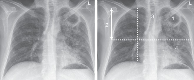 Figure 7)