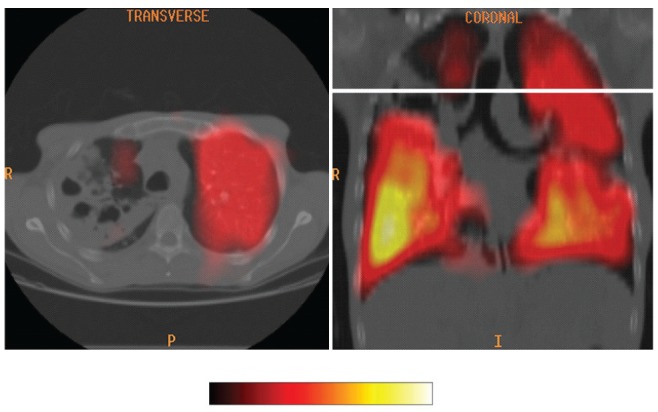 Figure 3)