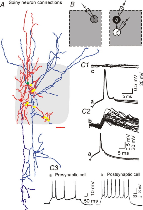 Figure 4.