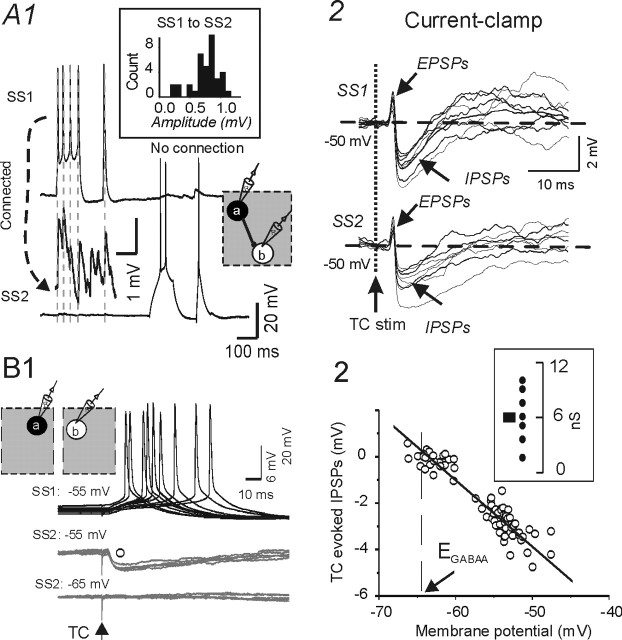 Figure 10.