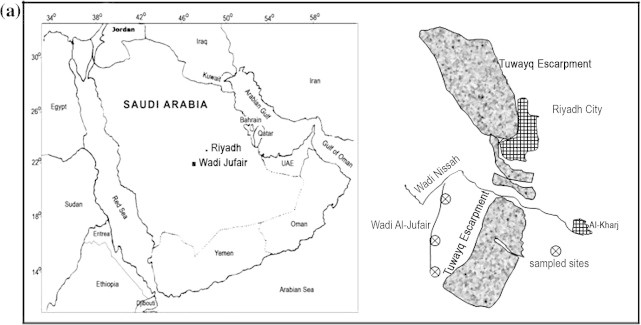 Figure 1a