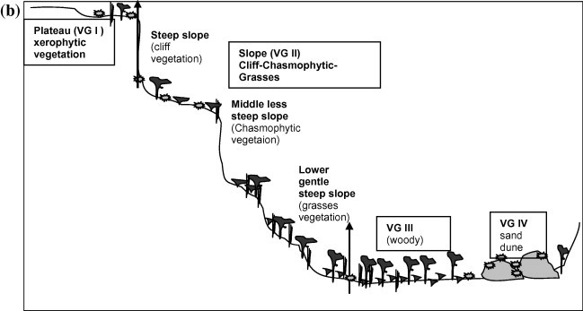 Figure 1b