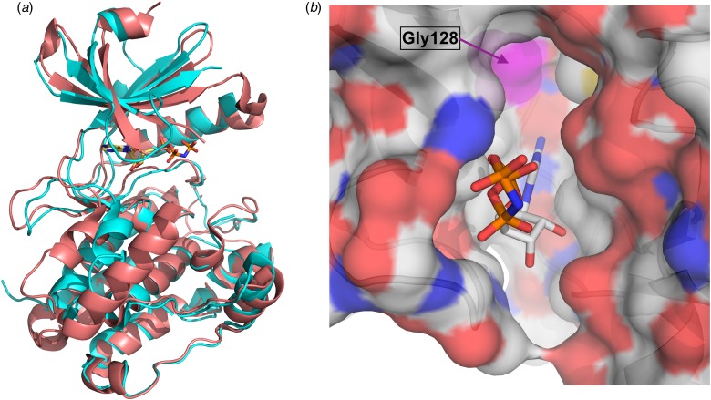 Fig. 2.