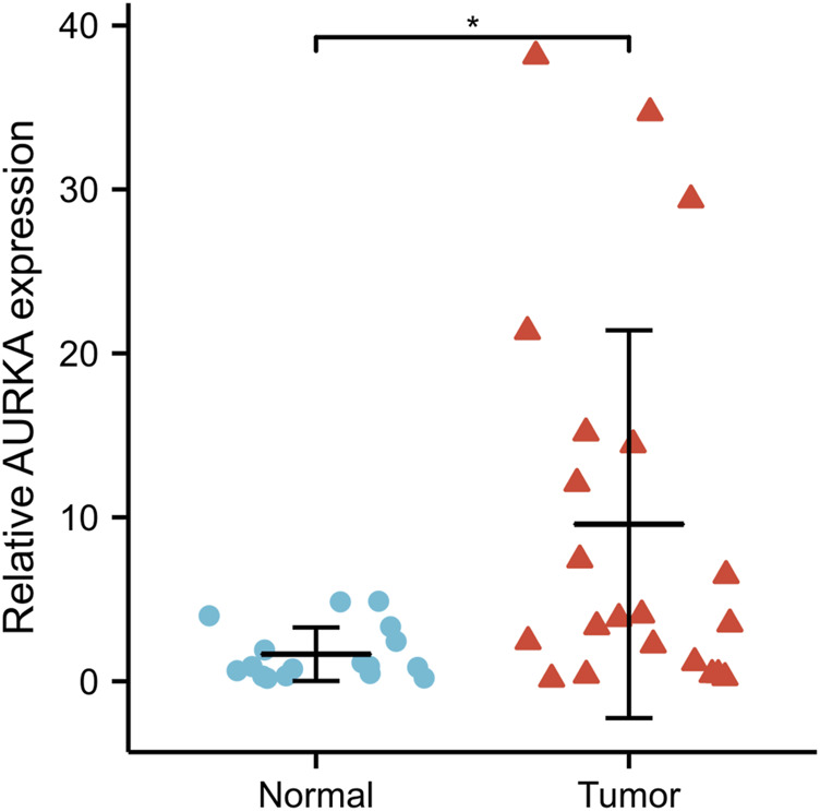 FIGURE 11