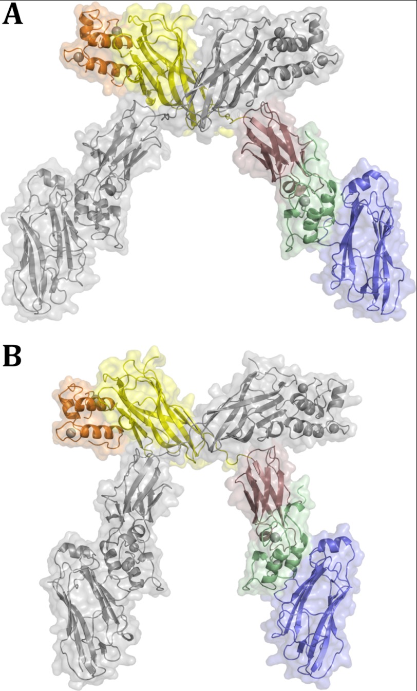 FIGURE 4.