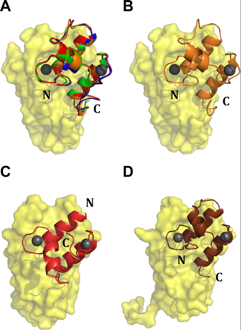 FIGURE 2.